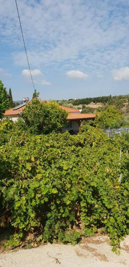 Guesthouse Agia Triada Koróni 外观 照片